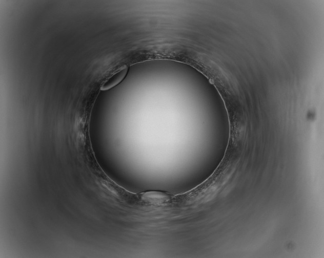 X0000103321010200809051142