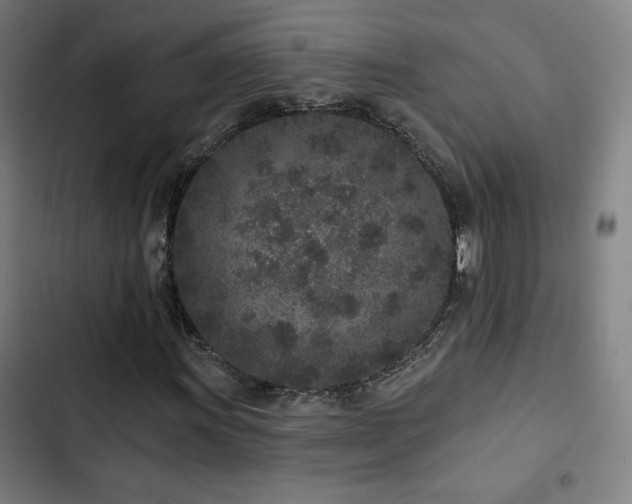 X0000103321011200809051142