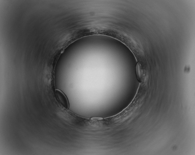X0000103321012200809051142