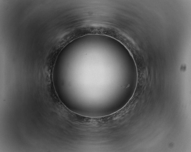 X0000103321013200809051142