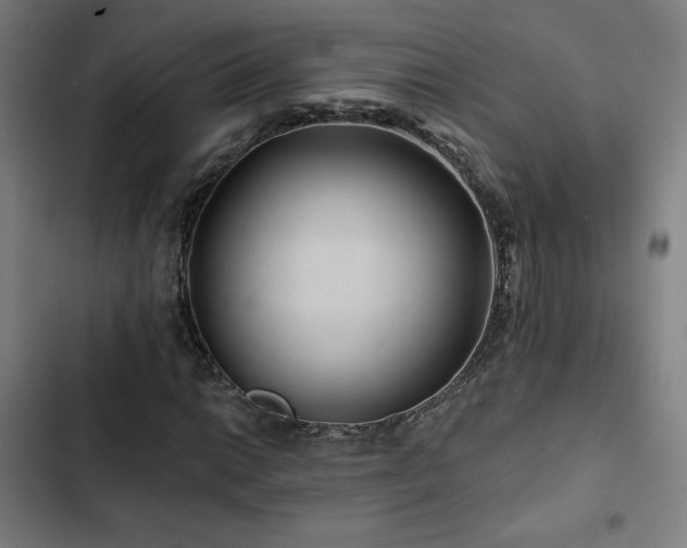 X0000103321014200809051142