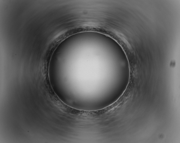 X0000103321015200809051142