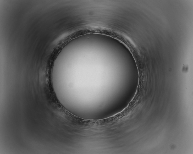 X0000103321016200809051142