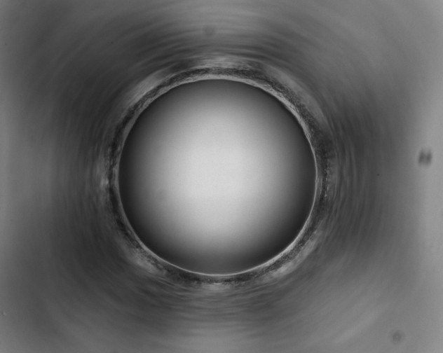 X0000103321017200809051142