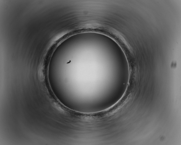 X0000103321018200809051142