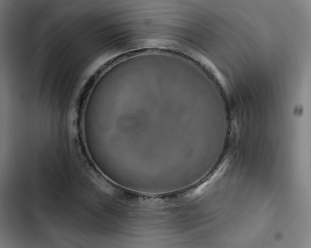 X0000103321019200809051142