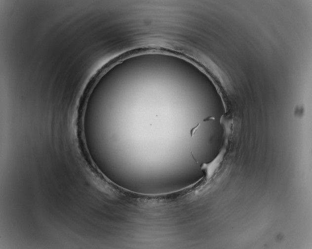 X0000103321020200809051142