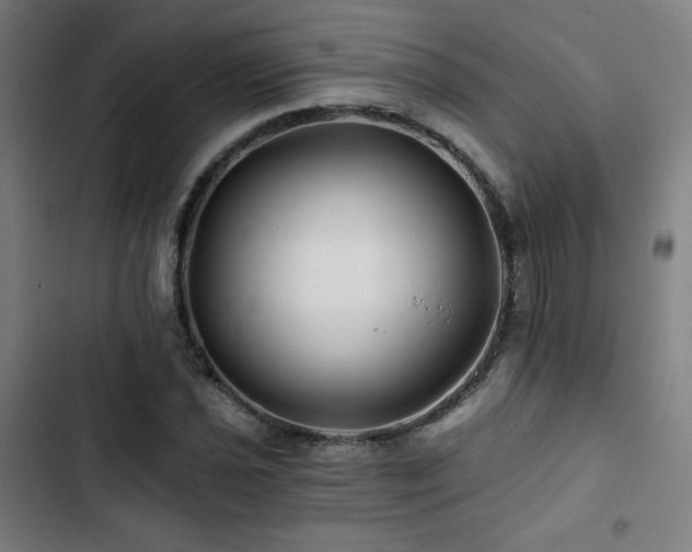 X0000103321021200809051142
