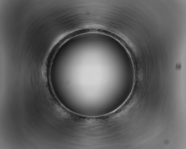 X0000103321022200809051142