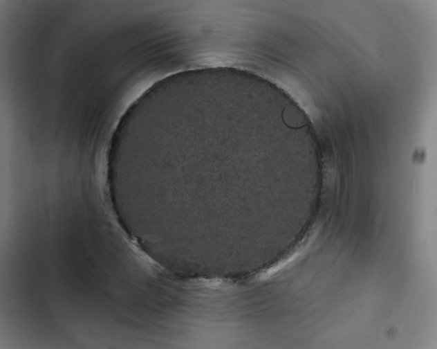 X0000103321023200809051142
