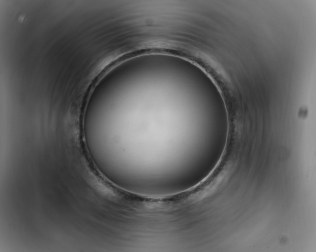 X0000103321025200809051142