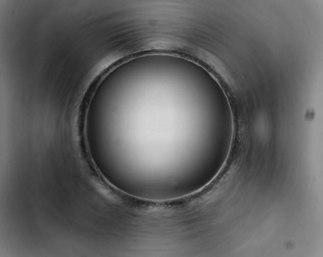 X0000103321026200809051142