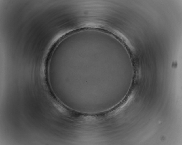 X0000103321027200809051142