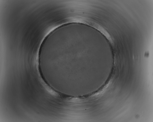 X0000103321028200809051142