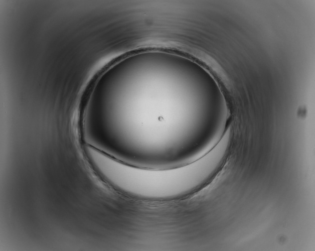 X0000103321030200809051142