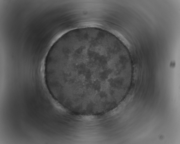 X0000103321031200809051142