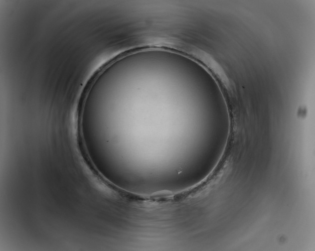 X0000103321032200809051142
