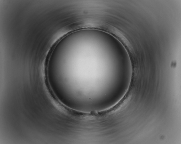 X0000103321034200809051142