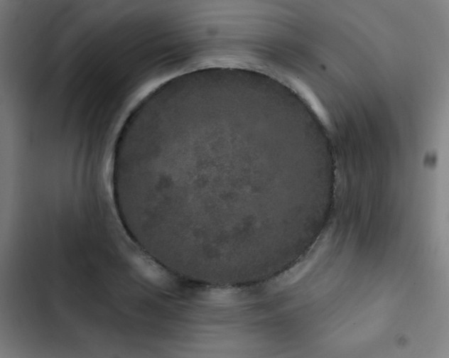 X0000103321035200809051142