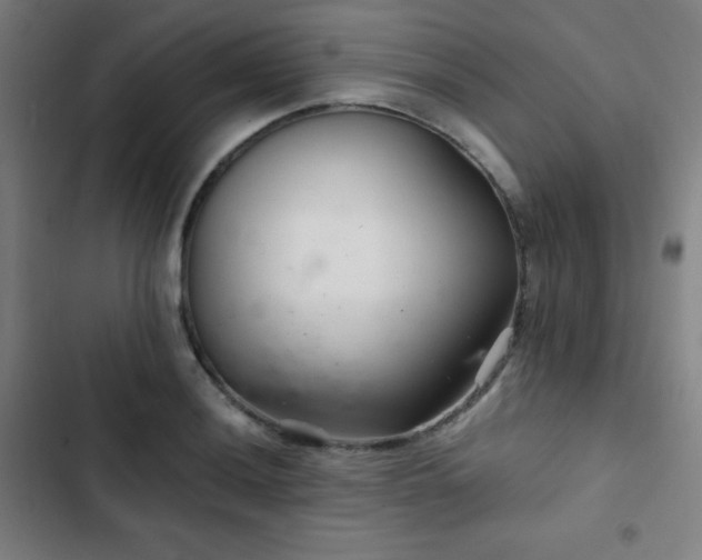 X0000103321036200809051142