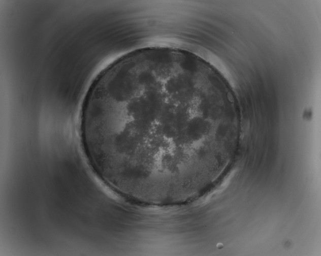 X0000103321037200809051142