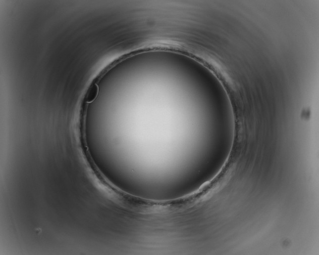 X0000103321038200809051142