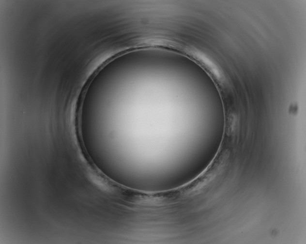 X0000103321039200809051142