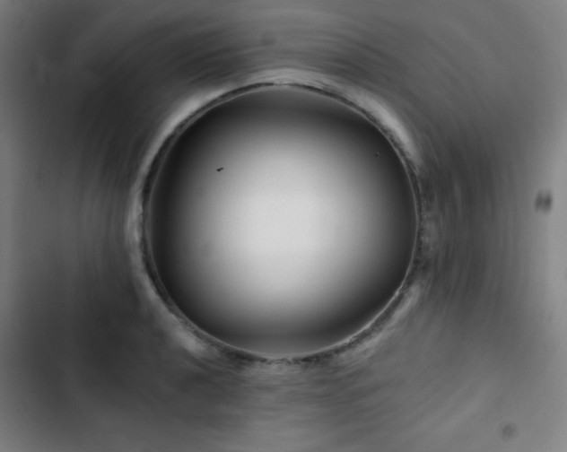 X0000103321040200809051142
