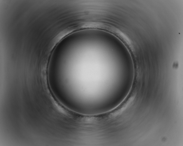 X0000103321041200809051142