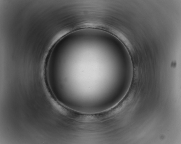 X0000103321042200809051142