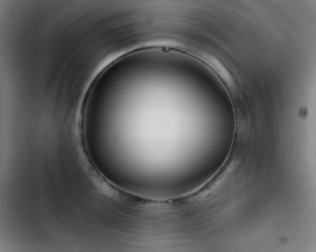 X0000103321044200809051142