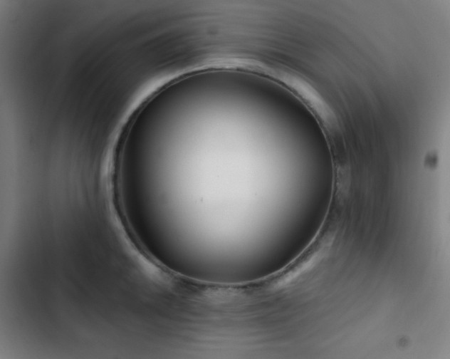 X0000103321046200809051142