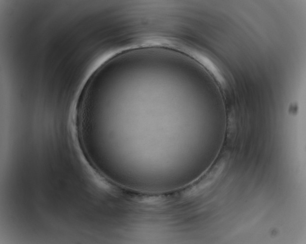X0000103321047200809051142
