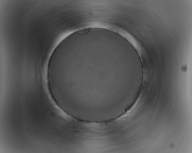 X0000103321048200809051142