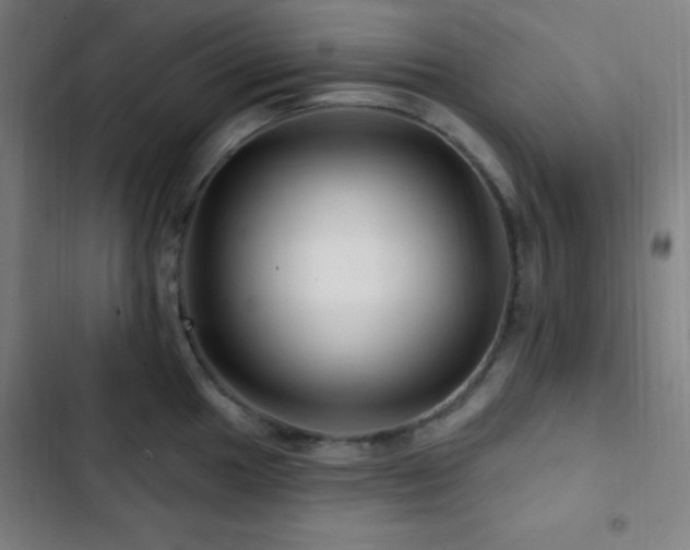 X0000103321049200809051142