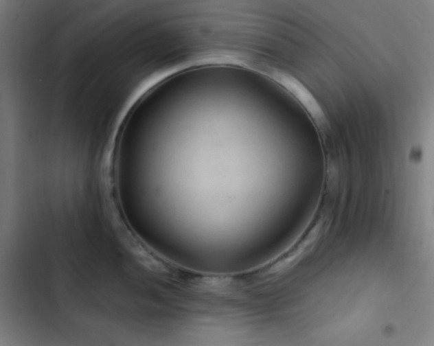 X0000103321052200809051143