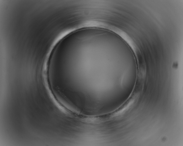 X0000103321053200809051143