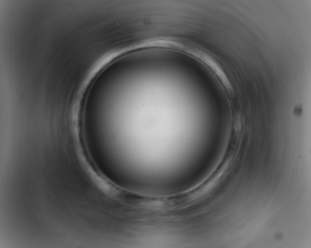 X0000103321054200809051143
