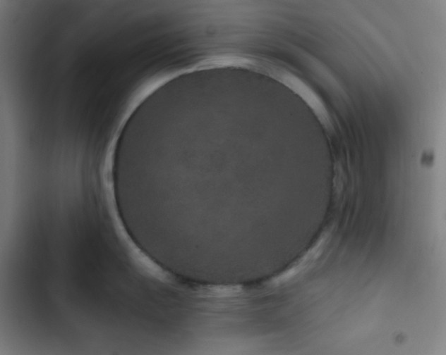 X0000103321055200809051143