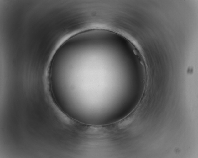 X0000103321056200809051143
