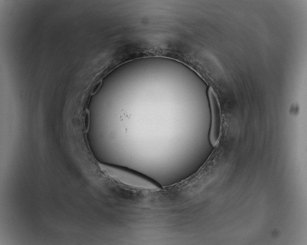 X0000103321057200809051142