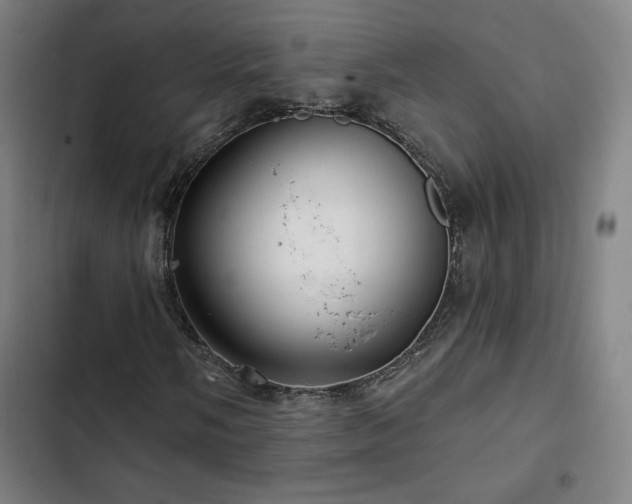 X0000103321058200809051142