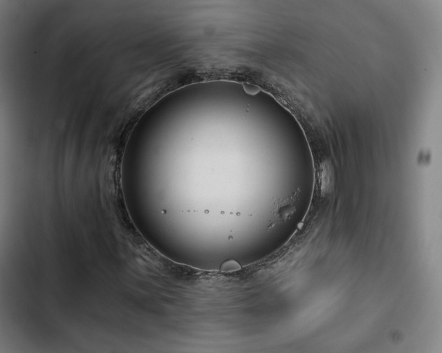 X0000103321059200809051142