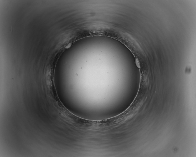 X0000103321060200809051142