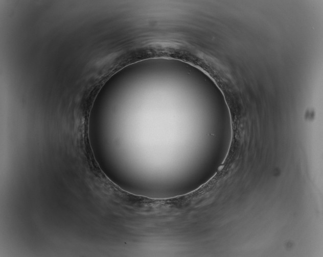 X0000103321061200809051142