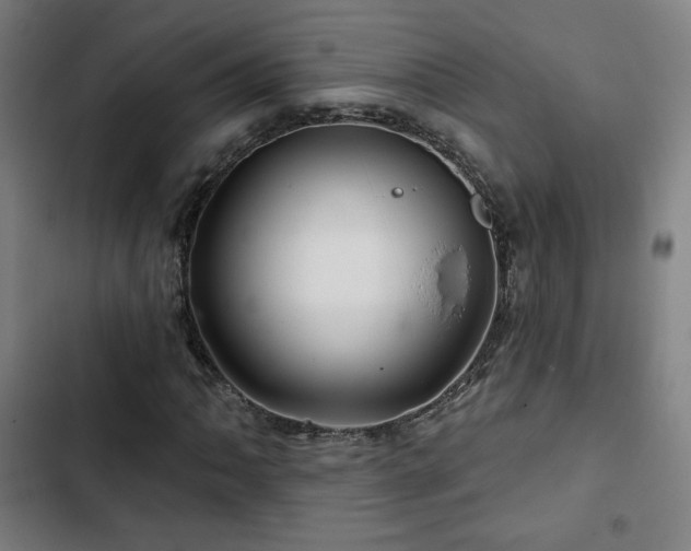 X0000103321062200809051142