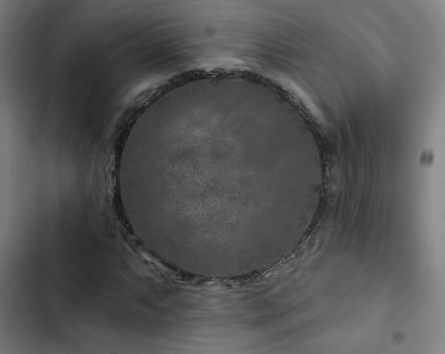 X0000103321063200809051142
