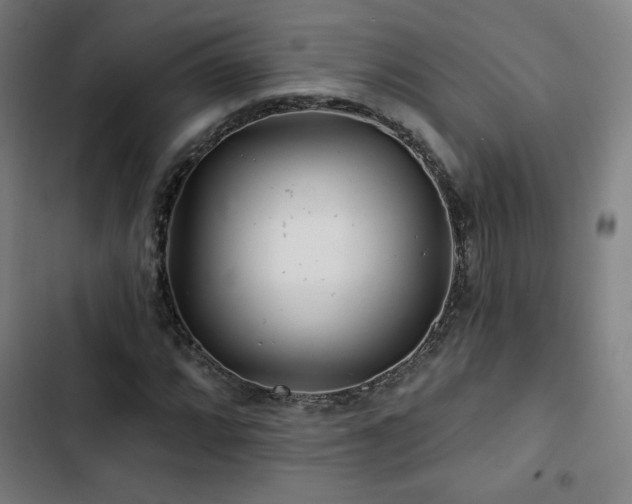 X0000103321064200809051142