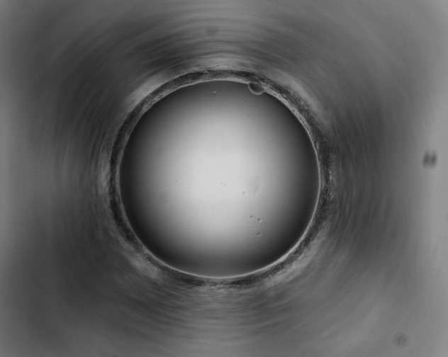 X0000103321065200809051142