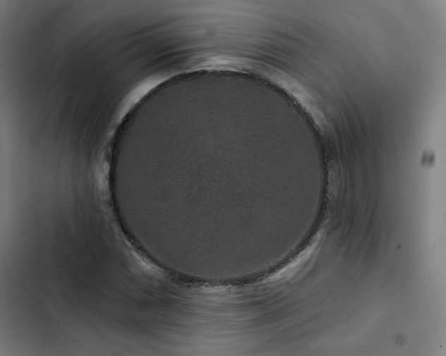 X0000103321066200809051142